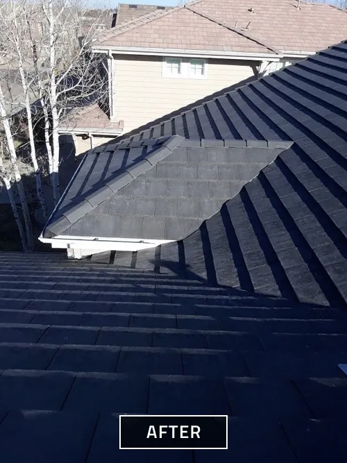 After Tile Roof 3